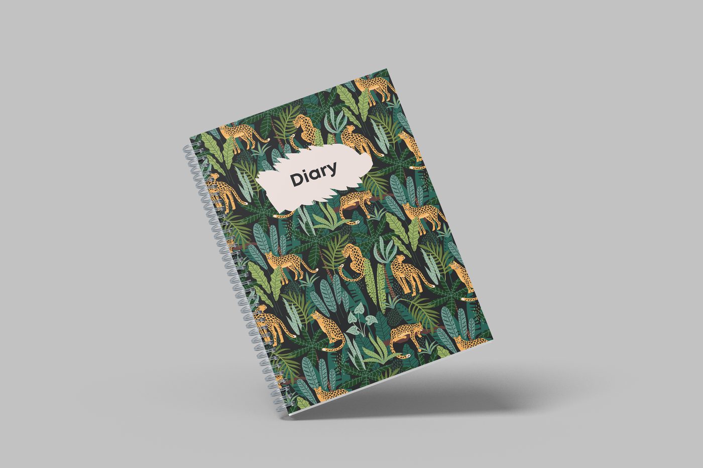 Diaries example 1