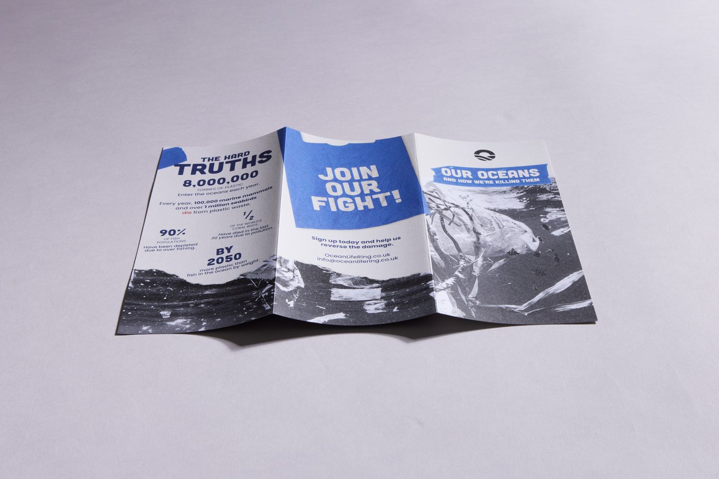 Folded Leaflets example 3